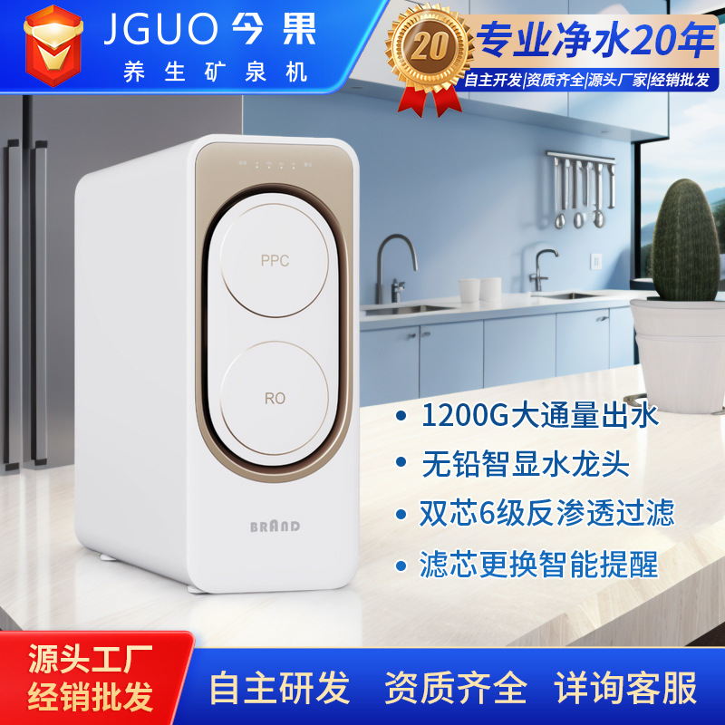 1200GTDS值复合PPC过滤反渗透净水器纯水机直饮机RO大通量净水器